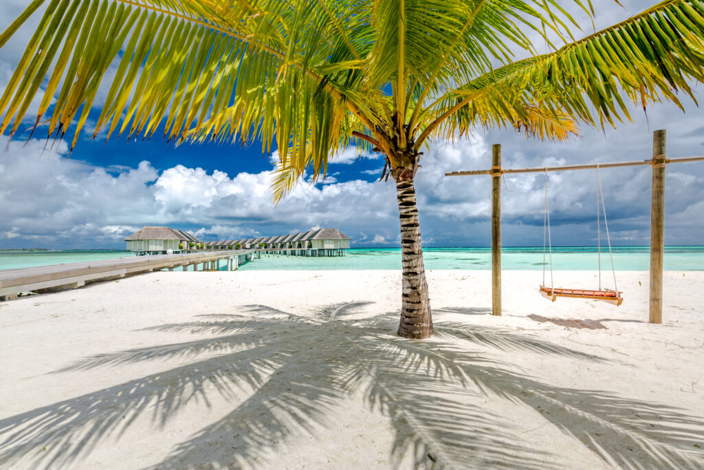 Zima 2025/2026 pod palmami – luksusowe egzotyczne wakacje